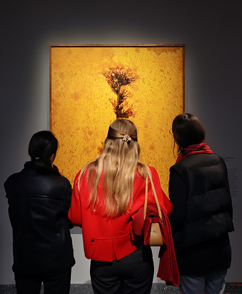 Drei Besucherinnen schauen ein Kunstwerk an