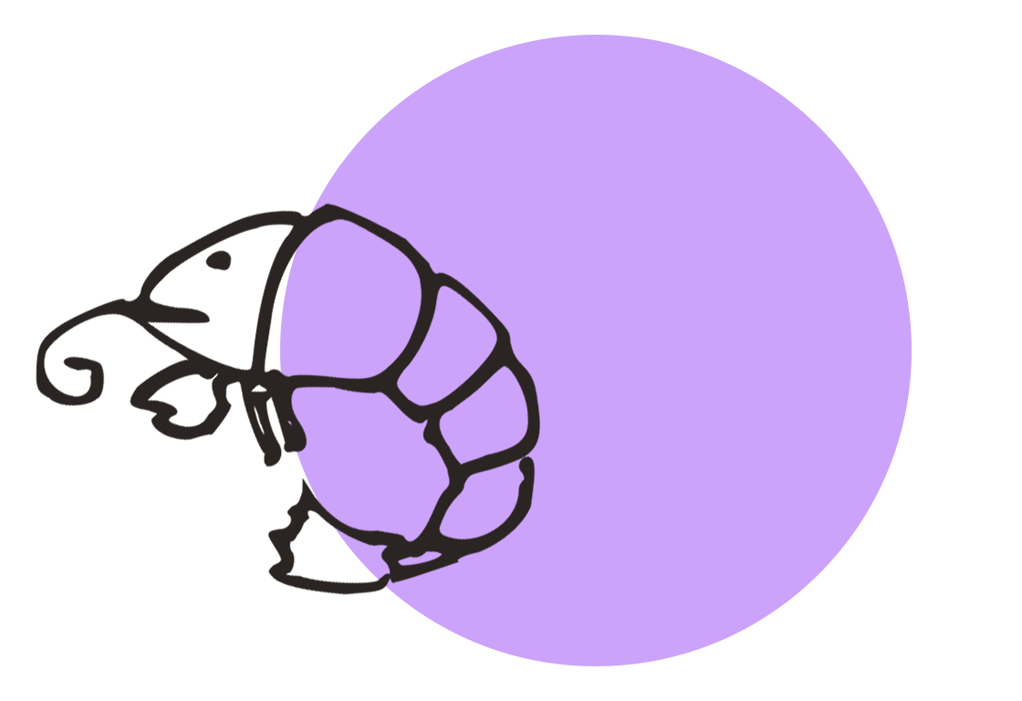 Icon mit einer Krabbe