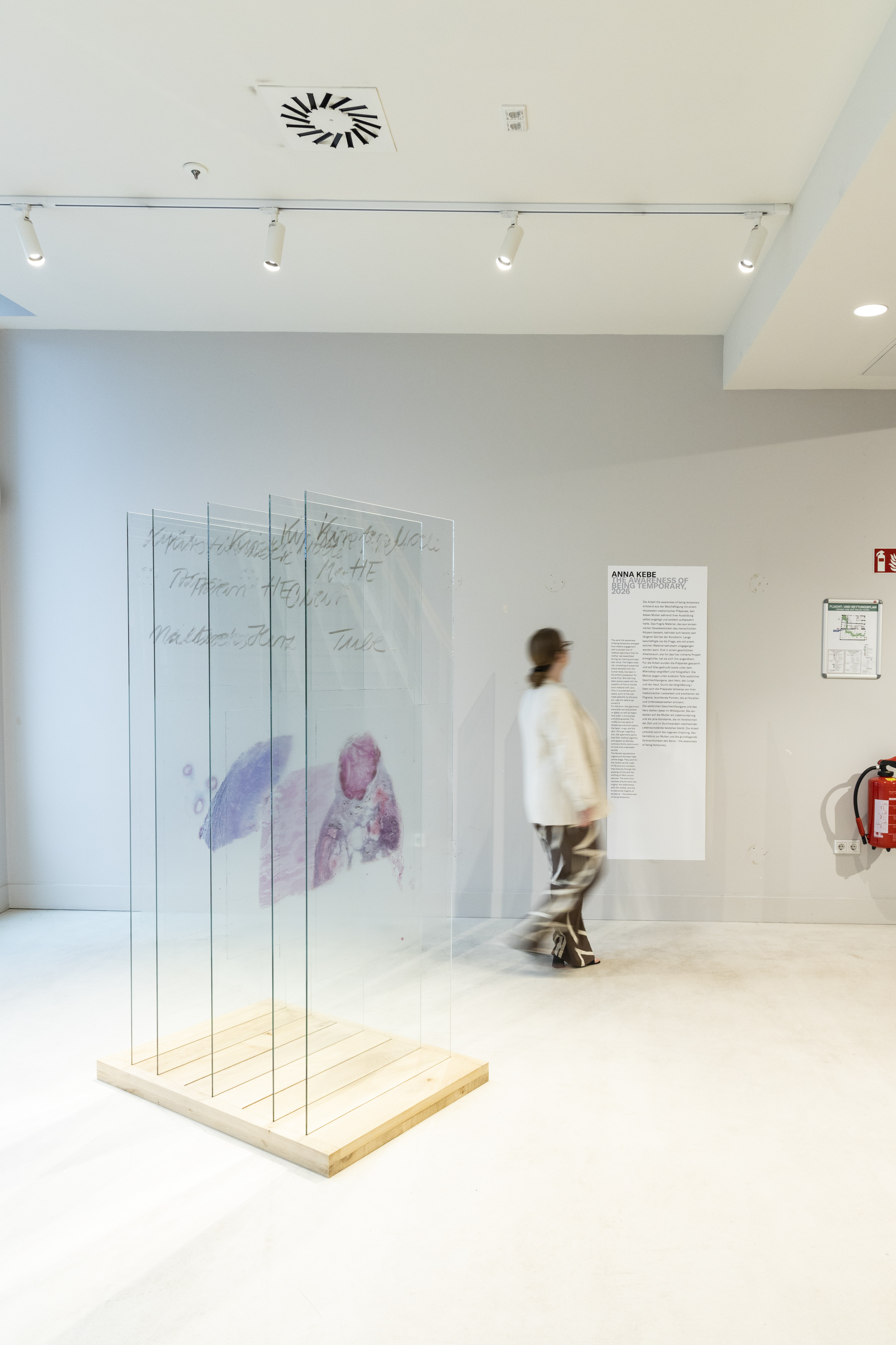 Person in der Satelliten-Ausstellung.